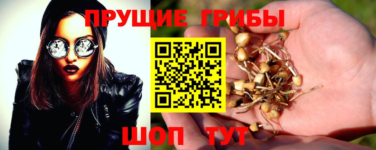Галлюциногенные грибы GOLDEN TEACHER Лениногорск