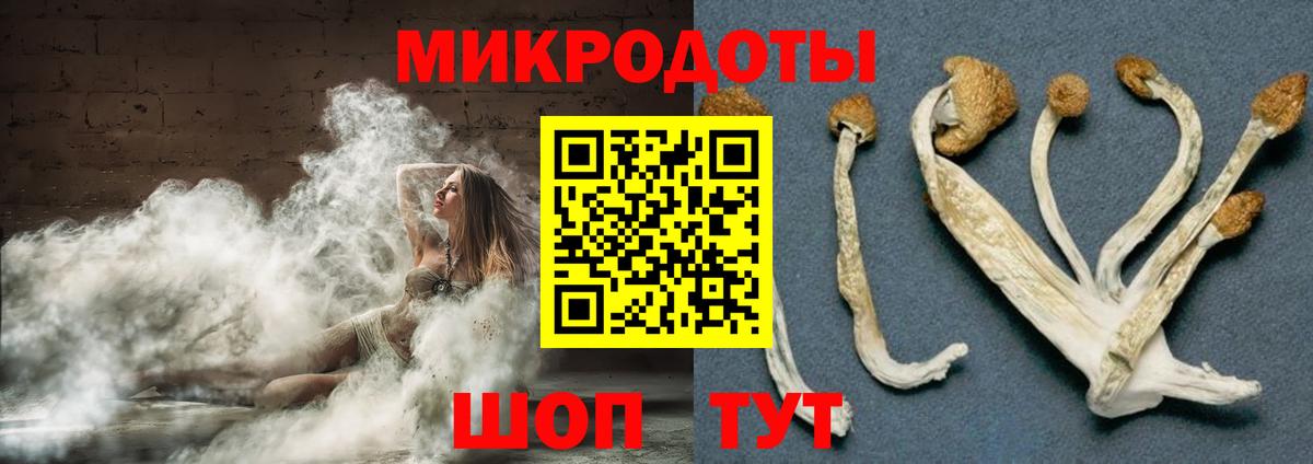 Лениногорск  Псилоцибиновые грибы ЛСД  Вход с VPN 
